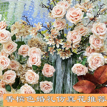 �¿�����һ�c���滨�S�� �㙉ɫ����õ���Y·��ܛ�b�ٻ����l