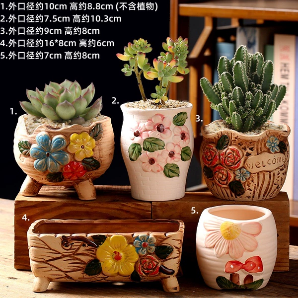 5 flower pots of Jinshun Shishishi combination
