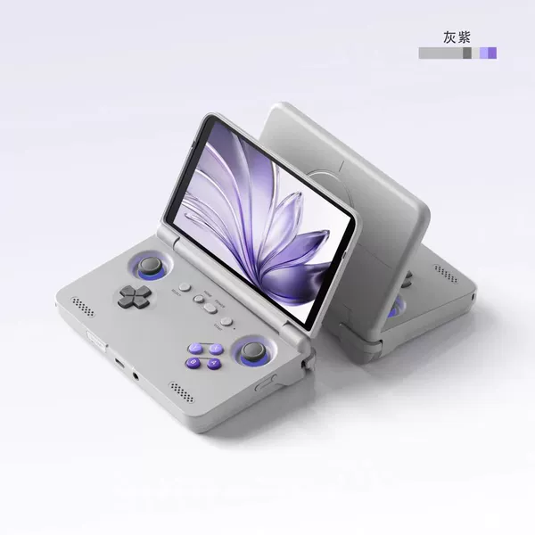 RP Flip2 gray purple