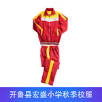 开鲁县宏盛小学秋季校服