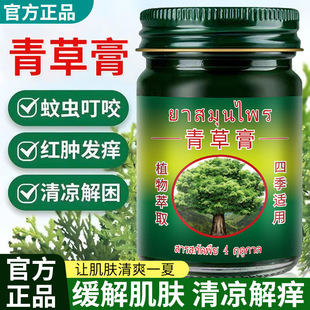 Ccbox Grass Ointment Original Mosquito Bite Repellent Ointment Mosquito All Year Round Outdoor Available Cooling Oil Mint Household Supplies
