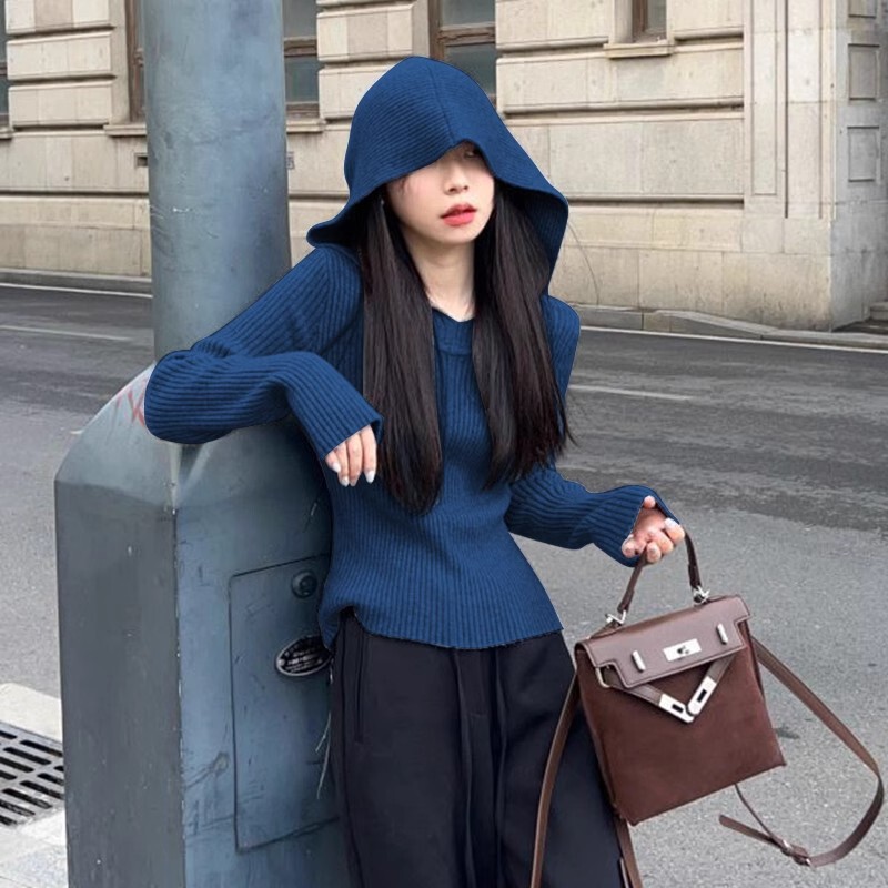 Korean Fashion Cc Hooded Bottoming Shirt for Women 2025 New Style Small Shirt with High-End Autumn and Winter Long-Sleeved Elegant Top