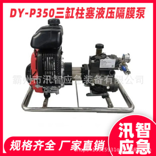 DY-P350��������Һ����Ĥ���h��ݔ�͸߉���ɭ�ֻ�ľ�Ԯˮ��