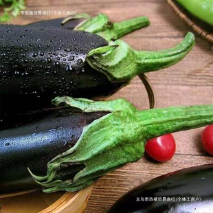 ɽ�|�۹������Ƥ�������r�������Ӽt�����ӾG����ɫ�L�����r����