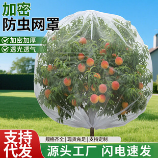 �羳ֲ�ﱣ�o�W���r���߲˴������ω���W���B�W������ܷ��x�W