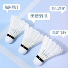 ���I�ʹ���ë����ë��12ֻ�b�o����ë������ʘ�������ë���ʹ���