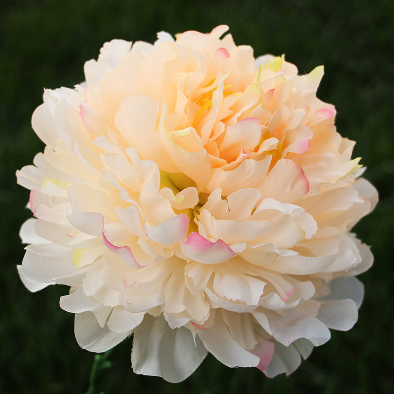 QT1-418cm large peony flower head manufacturer wholesale wedding…