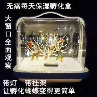 ��Ӽ���xëë�x���J���\�^�����x�\�B�x�\�������^���w����Ӽ