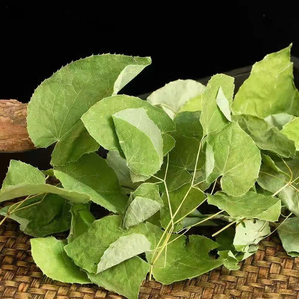 Epimedium Leaf Yin Yang Huo Dried Herb for Tea and Decoction 100g Bag preparation
