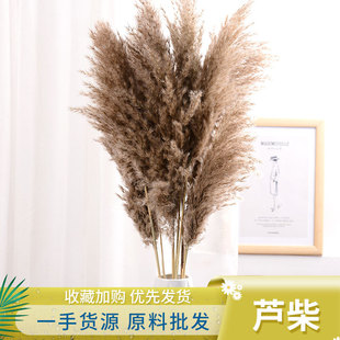 Yunnan Reed Dried Flower Eternal Flower Wholesale ins Decorative Simple Flower Material DIY Floriculture Reed Spot Wholesale Reed
