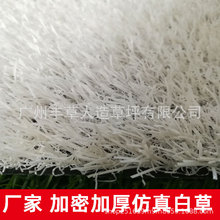 �����ƺ�ײ��\�Ӳو�������׾����a�����b��˹������ɫ��Ƥ