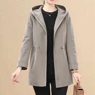 �������׶���r��������L��2025�¿��������L������������a�Bñ