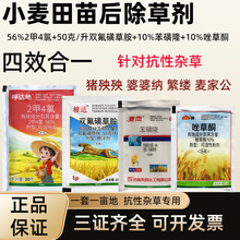 小麦苗后除草剂2甲4氯 双氟磺草胺 苯磺隆 唑草酮抗性杂草组合