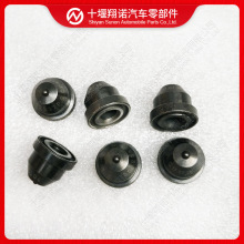 ˹lәCNT855ͱ3012537 208423