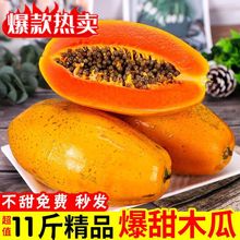 【超甜】云南红心木瓜新鲜水果批发特价下奶木瓜牛奶哺乳期树上熟