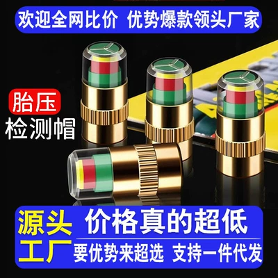 Measuring Cap Valve Core Tire – Tire pressure monitoring system
