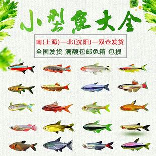 6BVQ�Ꭷ�^�p���~���B��ɏ�����R��ˮ���~����ʹ��ȸС�ͼt�G����