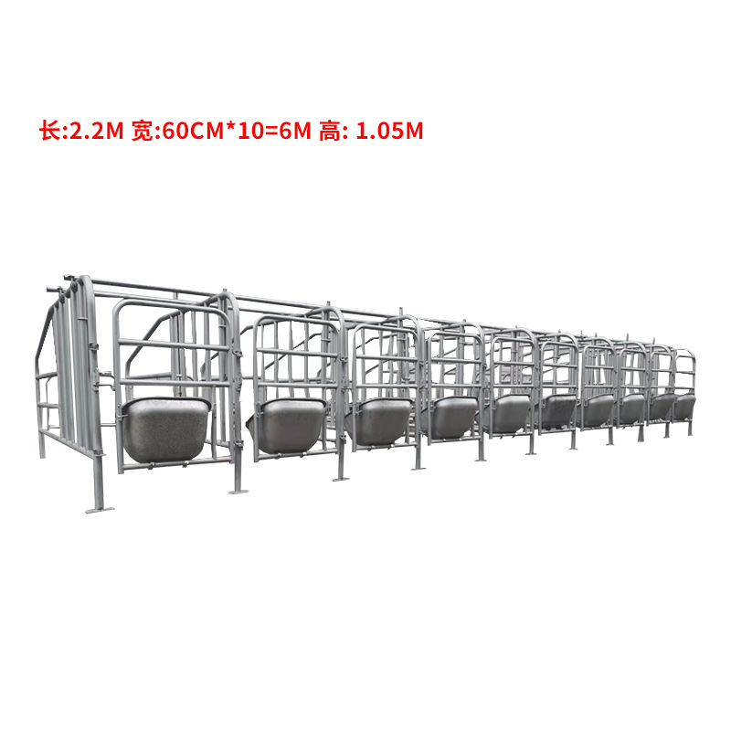 Cercas de límite de piso de stock de fábrica Cerdas de posicionamiento Cerdas de cría de ganado Tubo de acero galvanizado en caliente Cercas de posicionamiento de piso