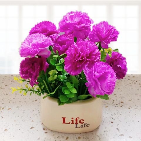 생활 분지-카네이션 연꽃 색상