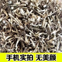 小顶鹿茸菇干货厂家直销鹿茸菇干货批发商用香菇蘑菇煲汤炒菜