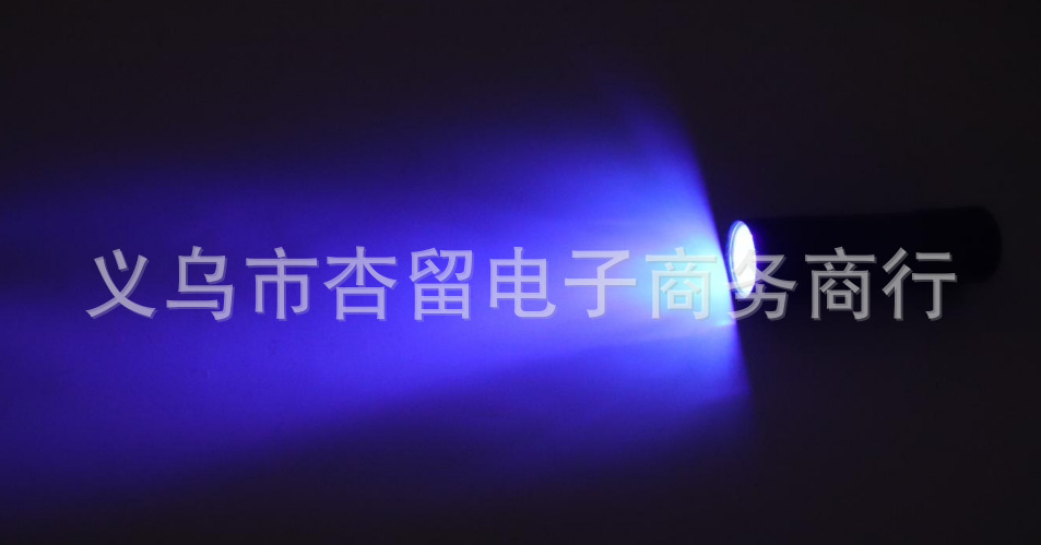9LED Purple Light 395 UV Flashlight Banknote Verification Mini Nine Light UV Curing Mask Fluorescent Agent Test Light