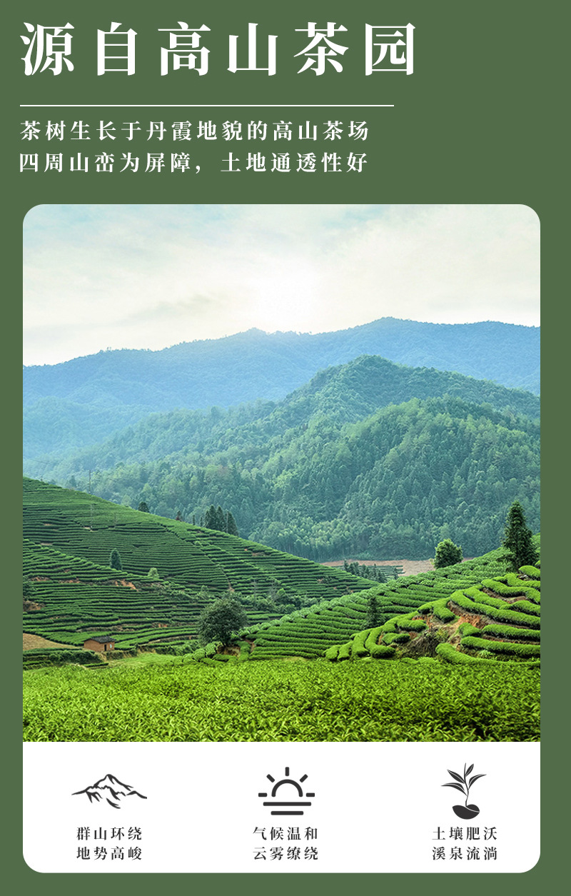 Mingqian Longjing Green Tea Gift Box, Premium Spring Tea from Zhejiang, 250g Loose Leaf detail image