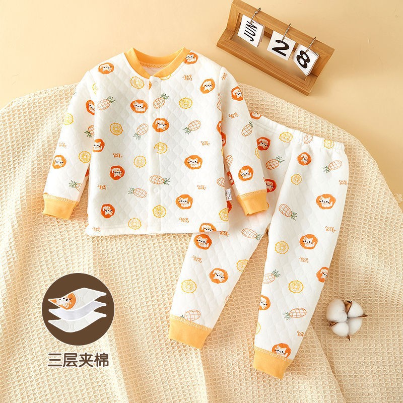 파인애플 고양이