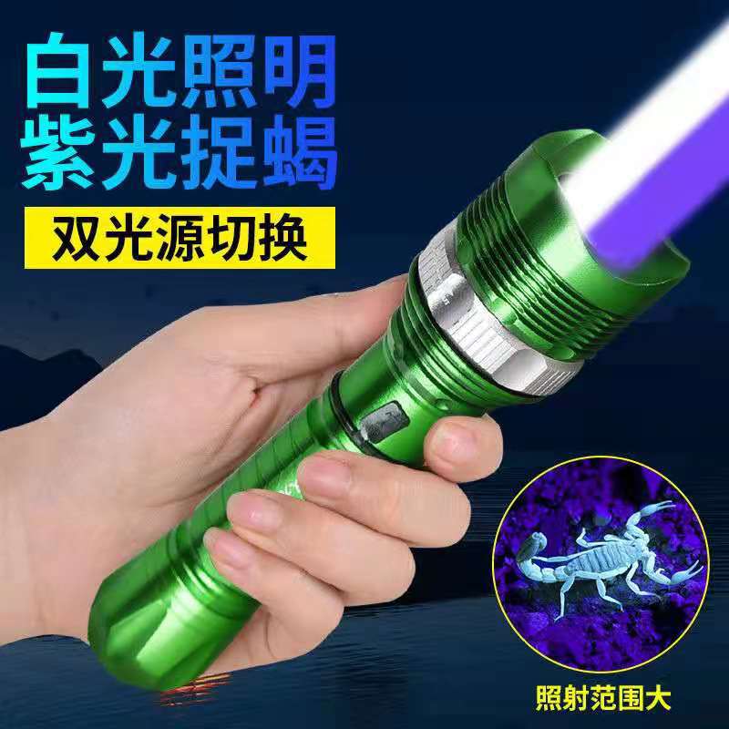 Flashlight