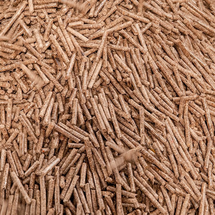 u=3230532689,3984949847&fm