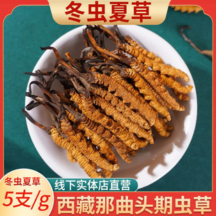 �����������x�Ĳݴ���^�ڸ�؛�ߺ��θɲ��ຣ�ߙn�YƷ������Ʒ