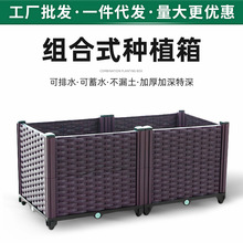 �Ӻ����ϻ������ͥԺ��[����N�ˌ������̨���۽M���߲˷Nֲ��