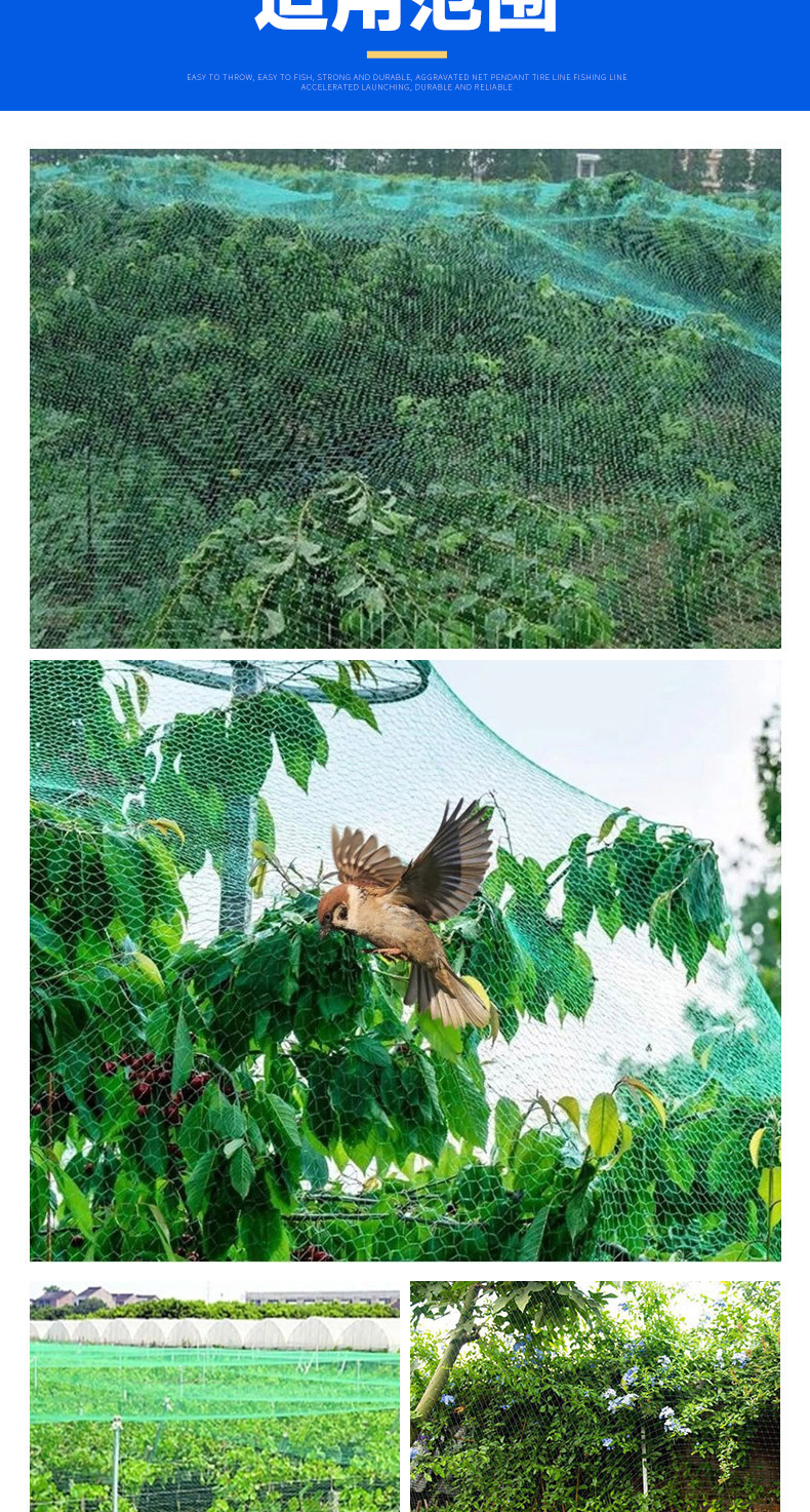 Image_1718707850724_08