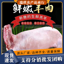 ���ɹ��������r�F�����\���]ȫ��8-50����ֻСȫ������Ƶ꿾ȫ��