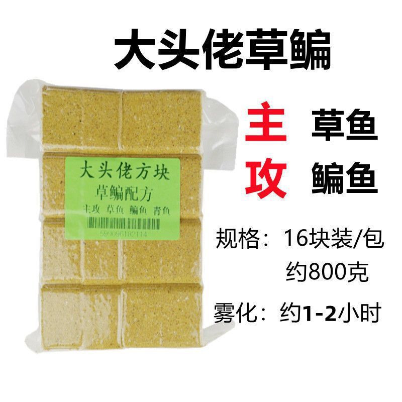 Big Head Floating Fish