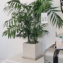 �ķ����sˮ����������ƻ����մɷ��������ƾGֲ���Դ�̖ins