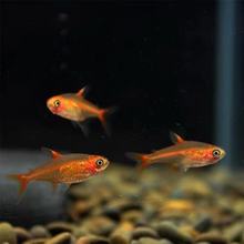 ������~������~С�͟Ꭷ�~��ˮ���~�ݸ��~Ⱥ�Ό�����w���]����