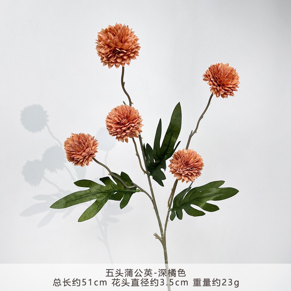 XR-Bồ Công Anh Năm Đầu-Cam Đậm