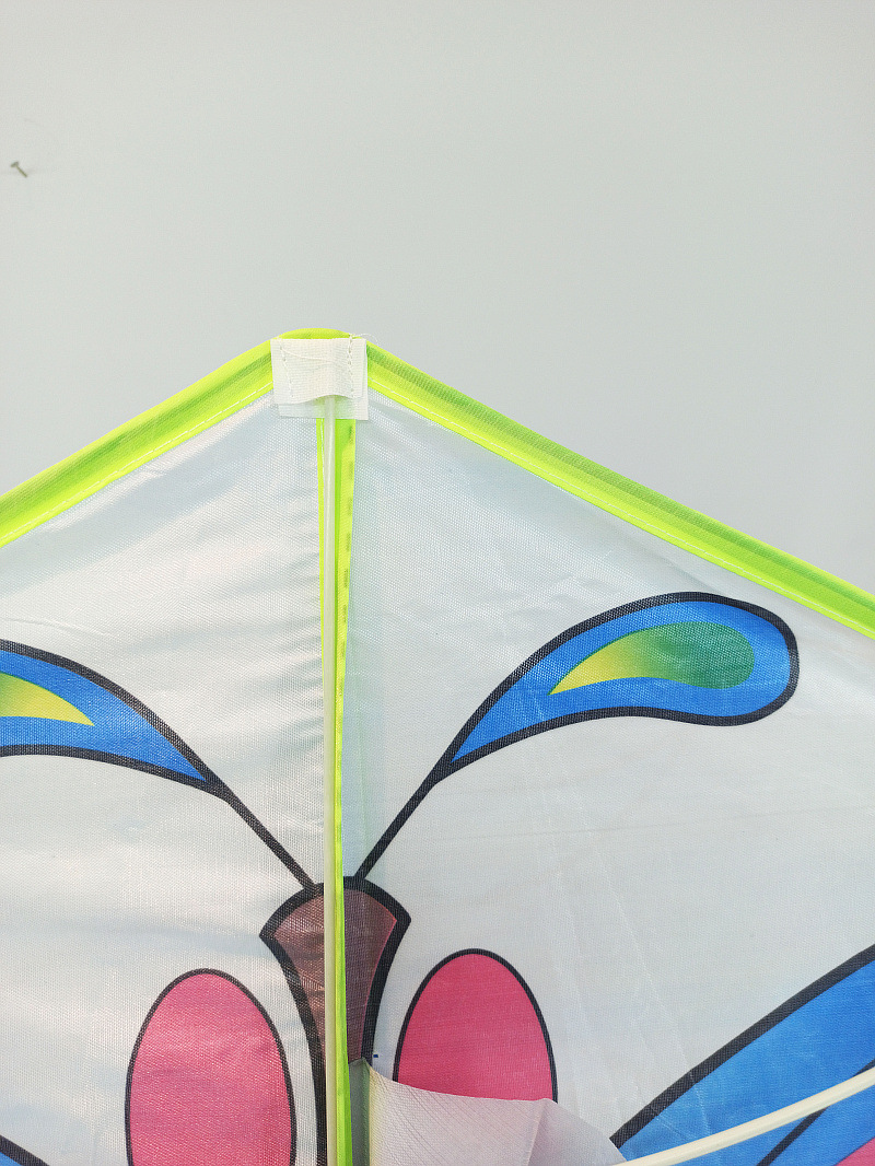 XCH长尾彩蝶- (8).jpg