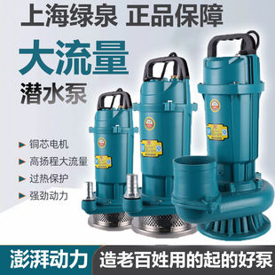 Household 220V Pure Copper Water Pump Agricultural Single-Phase Agricultural Irrigation Small Submersible Pump High Lift Large Flow Water Pump