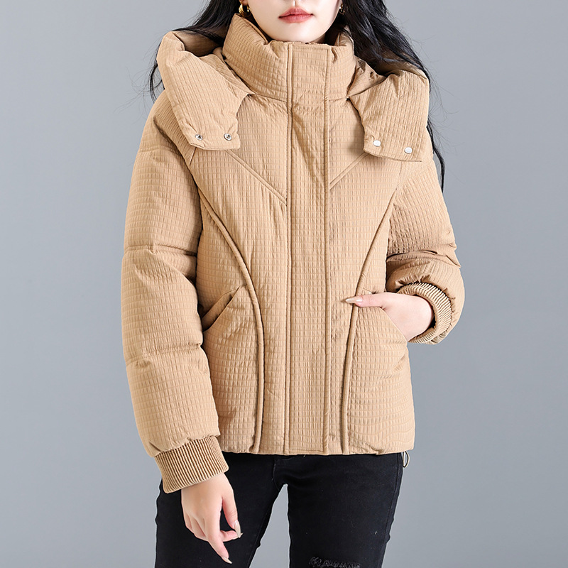 2024 invierno de algodón encapuchado chaqueta de plumón de mujer literatura de color sólido pequeño cierre de pan caliente ropa de algodón image 3