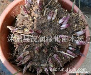 ͥԺ�ر�ֲ����Ի������~������߅�������~�����̨�����޸�����