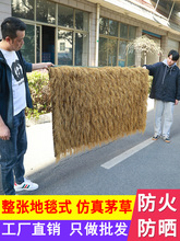 é����픵����b�����ë������ٲ�Ƥ������ȼ���������ܵ�̺