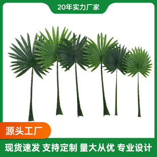 �����L���Gֲ�~�ӻ�c�Gɫɢβ��ɭϵ���滨�ٲ��ȿ����~�廨�~��