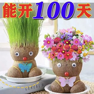 �_�����޾Gֲ�Nֲ���^���^�����^���L��ֲ�ͯ�^�l�L��С����