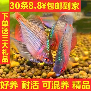 ���Q�~�^�p�~��ˮ�~ԭ���~�߲���Ƥ�~���w��ƤС�͵�ˮ�~���B