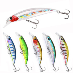 Spinning lure 70mm/10g submersible minnow, for targeting northern pike, long-range casting 70s hard lure, life-like bait 9127
