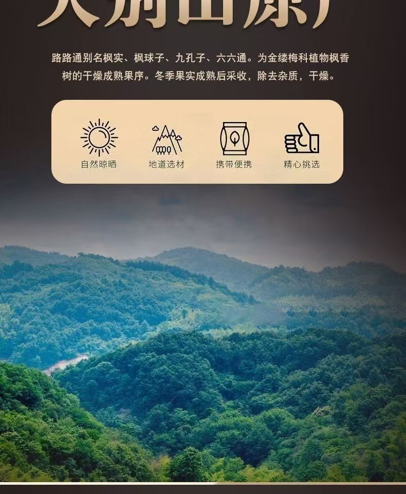 Lulu Tong Sweetgum Fruit 100g Jar Dried Lu Lu Tong Herb for Decoction and Culinary Use quality and texture