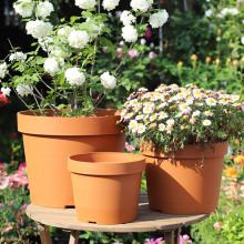 ���_�R�L�¼t�հ��ռӺ��֬���Ͻ������Gֲ���軨�P�辰��