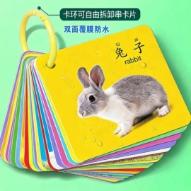玩具挂图;早教闪卡;其他益智玩具