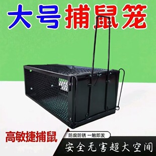 �B�m�Ԅ��p���M���_�P�T����\�����������ý��ٜ���F؛���l����